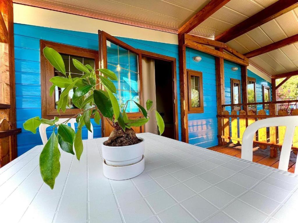 Holiday park Village Tuscia Tirrenica