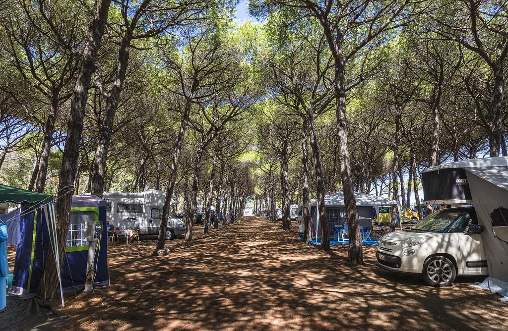 Holiday park Village Tuscia Tirrenica Tarquinia